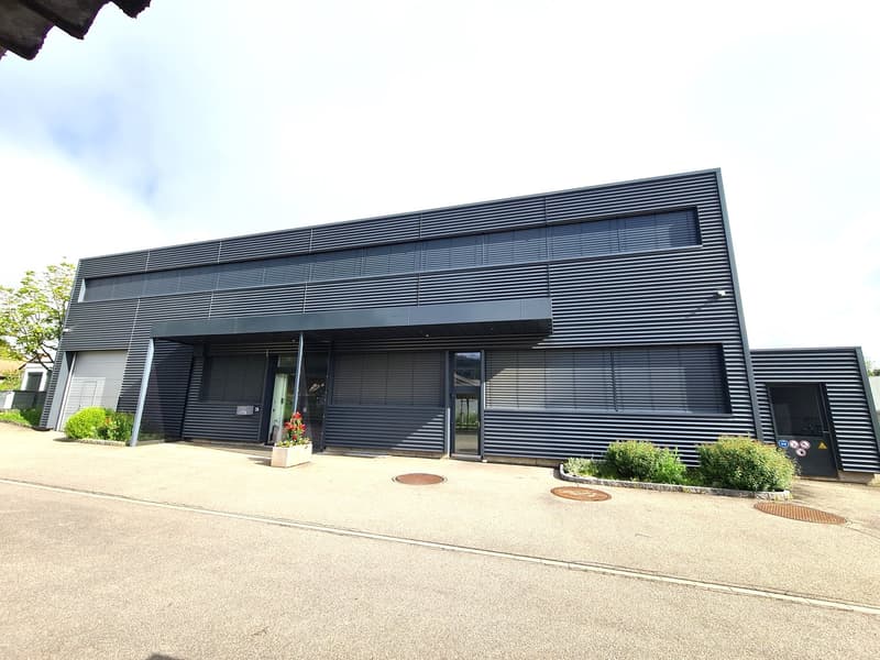 Very interesting industrial building or renovated for another use in 2019 (10)