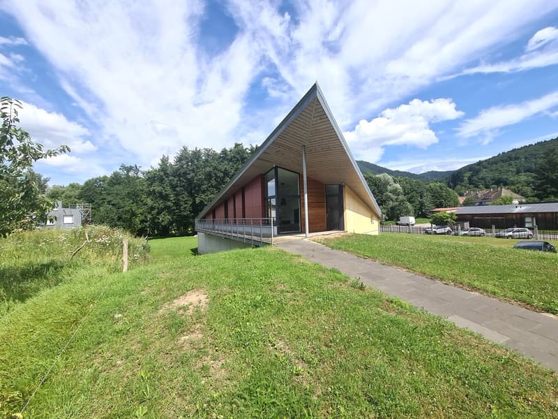 Modern triangular house, elevated, red panels, large windows, fenced entrance, green lawn, fenced garden, cars parked