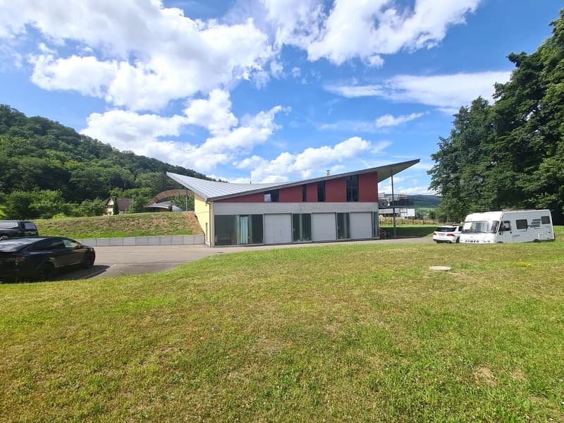 Modern house, slanted roof, red walls, windows, garage, cars parked in front, grassy area