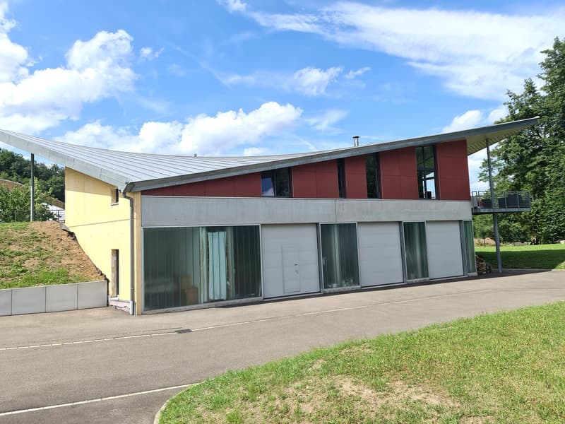 Single story house with a garage, glass front, sloped roof, yellow and red panels