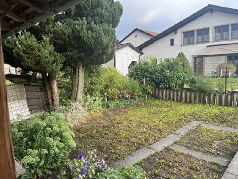 Grassy backyard with trees, shrubs, and a paved walkway. The backyard appears to be surrounded by a fence and there is a building visible in the background.