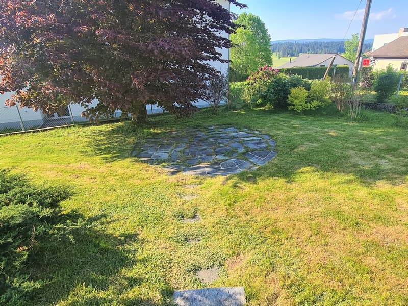 Lush green lawn, colorful trees, stone pathway, and a decorative water feature in the center of the yard