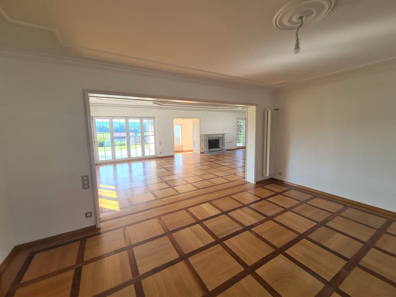 Spacious living room with hardwood flooring in a geometric pattern, large windows providing natural light, and a fireplace visible in the background.