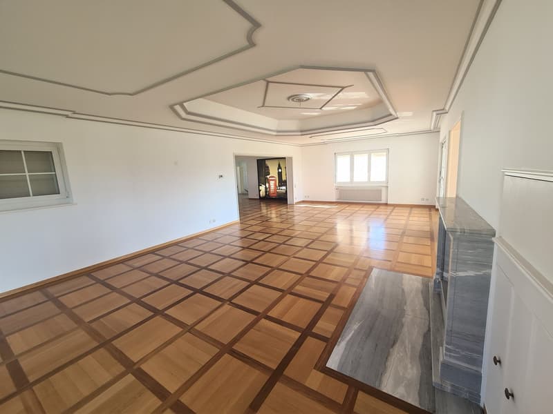 Large open-concept living space with hardwood flooring in a geometric pattern, high ceilings with decorative molding, and a fireplace or built-in cabinet against the wall.