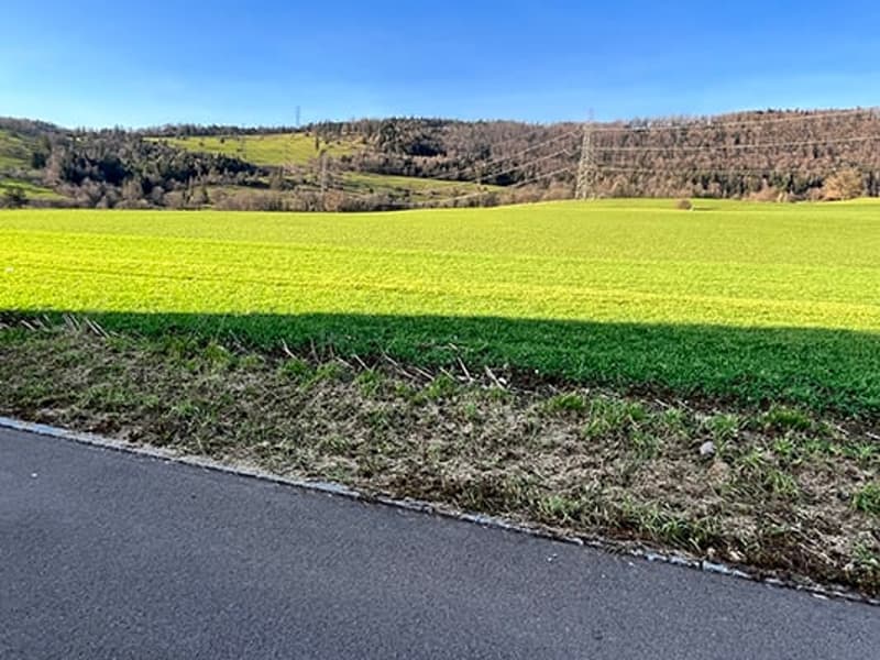 The image shows a rural landscape with a large green field in the foreground, surrounded by hills and trees in the background. The field appears to be recently plowed or harvested, with some debris visible on the ground. A paved road runs along the edge o