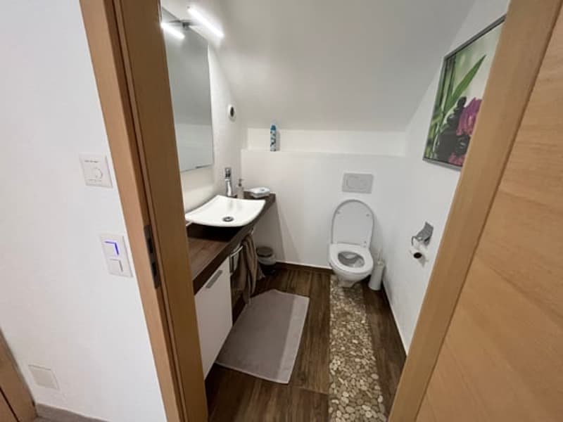 Bathroom with vanity sink, toilet, and what appears to be a washing machine or laundry appliance.