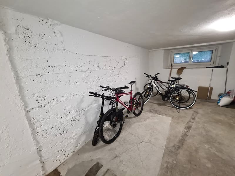 Splendide appartement en PPE haut standing de 5,5 pièces situé au dernier étage de l'immeuble (27)