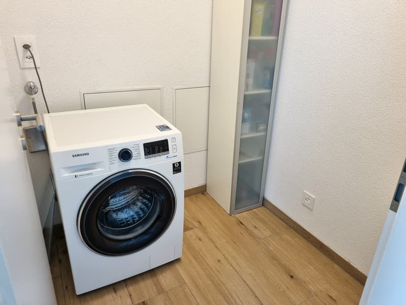 Splendide appartement en PPE haut standing de 5,5 pièces situé au dernier étage de l'immeuble (16)
