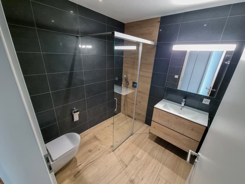 Splendide appartement en PPE haut standing de 5,5 pièces situé au dernier étage de l'immeuble (12)