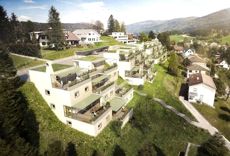 Series of apartments built on a slope, rooftop green space, balconies, terrace areas.