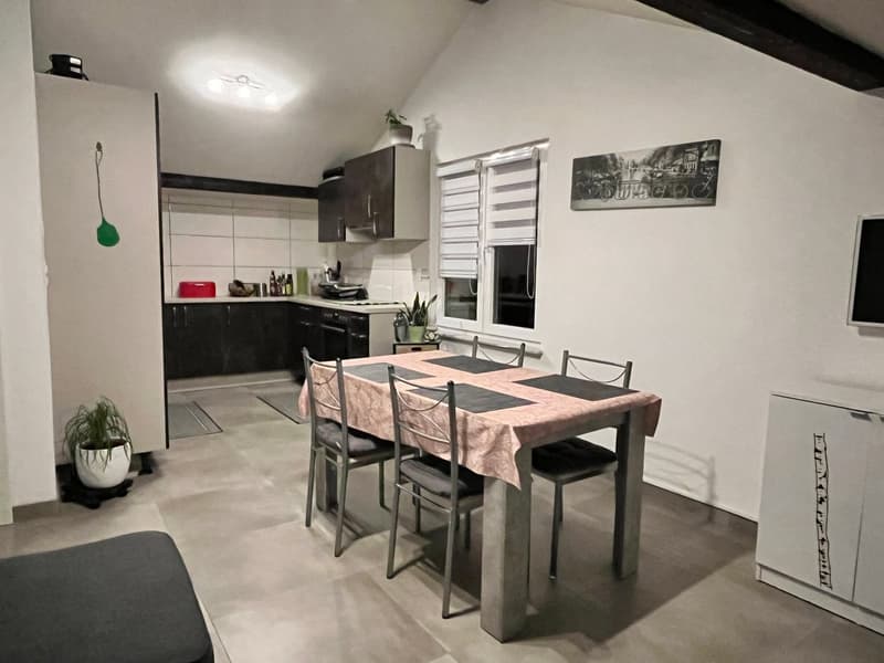 Dining room with a table and chairs, kitchen area, cabinets, and a plant in a white pot.