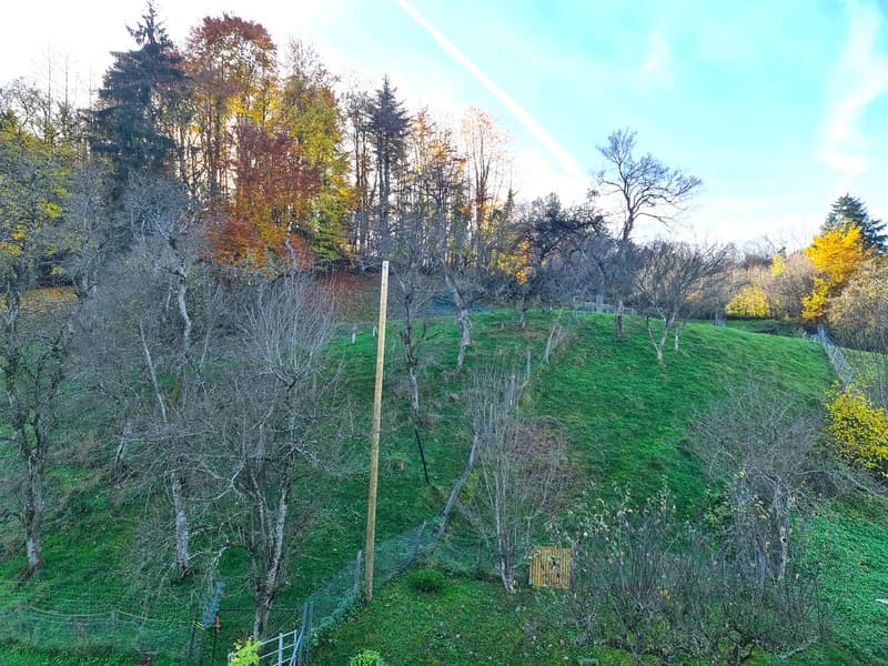 a grassy hill with a line of trees at the top, surrounded by a wire fence, with a wooden pole in the center