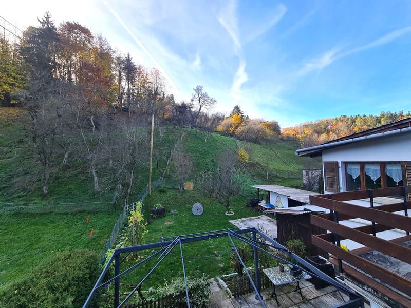 Sloped grassy field with various trees, house, balcony, shed, garden, fenced area
