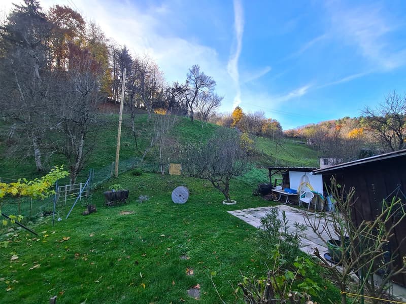 hillside, garden, small shed, outdoor seating, plants, and trees