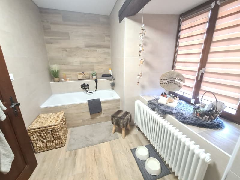 EXCEPTIONNELLE BAISSE DU PRIX DE VENTE -  Luxueuse et grandiose propriété de prestige de 10,5 pièces (67)