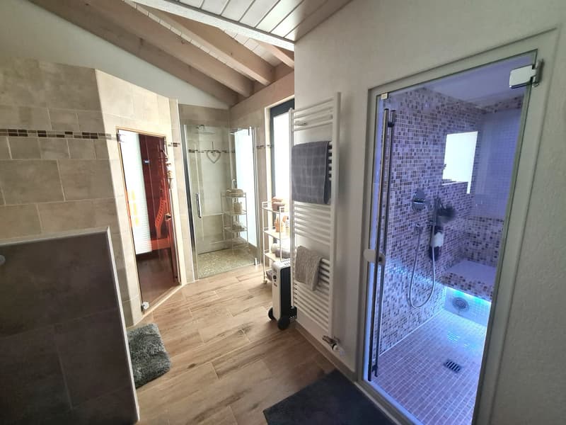 EXCEPTIONNELLE BAISSE DU PRIX DE VENTE -  Luxueuse et grandiose propriété de prestige de 10,5 pièces (54)