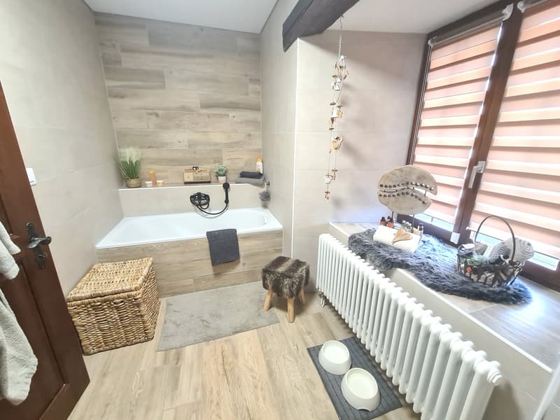 EXCEPTIONNELLE BAISSE DU PRIX DE VENTE -  Luxueuse et grandiose propriété de prestige de 10,5 pièces (66)