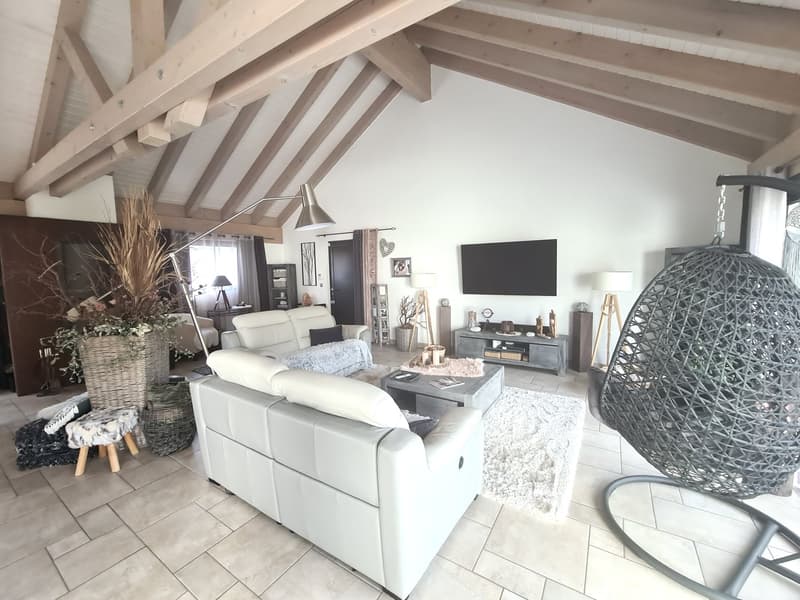 EXCEPTIONNELLE BAISSE DU PRIX DE VENTE -  Luxueuse et grandiose propriété de prestige de 10,5 pièces (35)