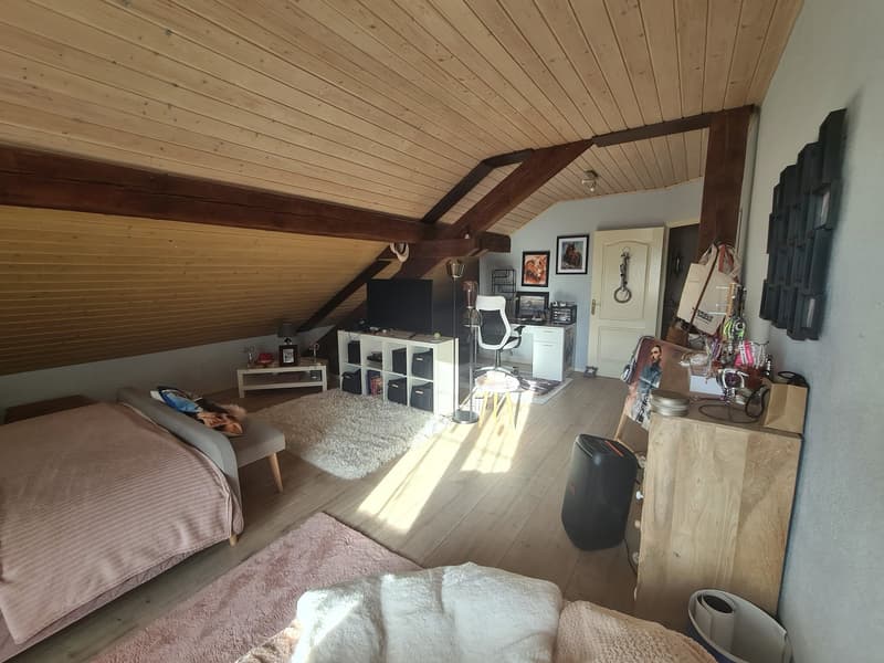EXCEPTIONNELLE BAISSE DU PRIX DE VENTE -  Luxueuse et grandiose propriété de prestige de 10,5 pièces (74)