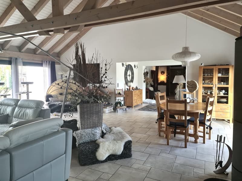 EXCEPTIONNELLE BAISSE DU PRIX DE VENTE -  Luxueuse et grandiose propriété de prestige de 10,5 pièces (34)