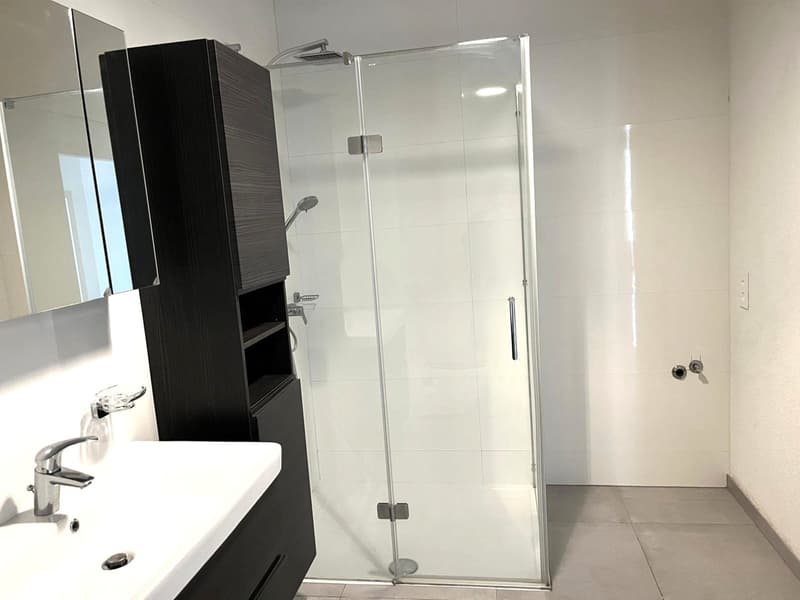 Modern bathroom with shower, sink, mirror, and cabinets. Glass shower door, white tiles, chrome faucet.
