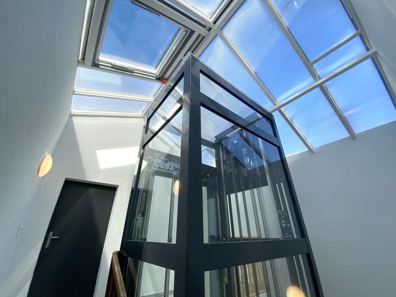 Glass lift surrounded by white walls, black doors, glass panels, and a modern ceiling design.