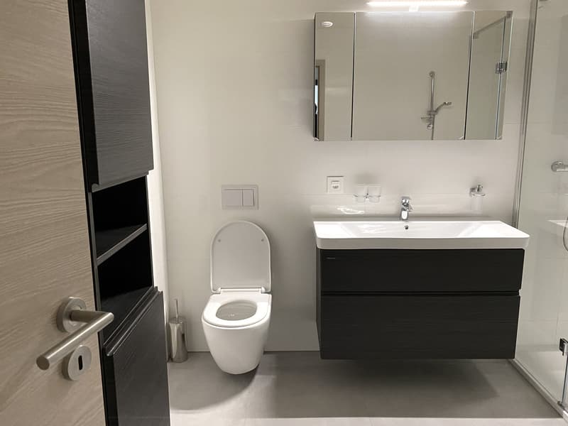 modern bathroom, white toilet, vanity sink, mirror, shower stall