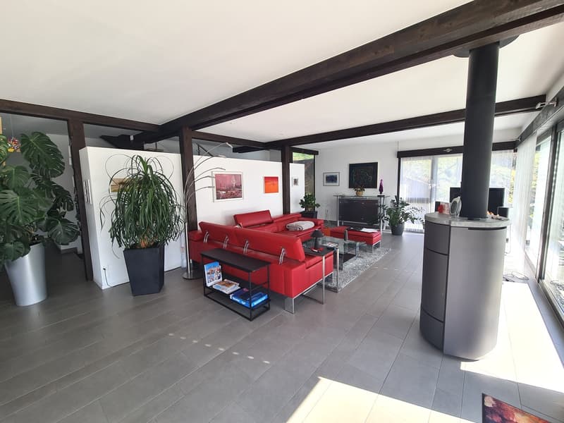 modern living room, red sofa, red chairs, glass table, wooden floor, large windows, plants