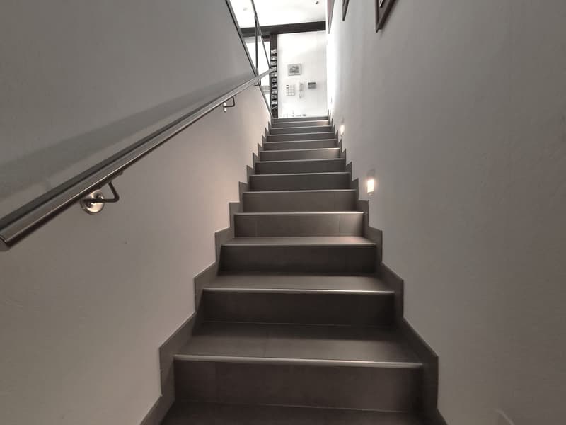 modern design, stainless steel steps, raised ground floor, handrail