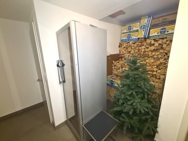 A storage room with a white door, stainless steel cabinet, small pile of wood, Christmas tree, and boxes