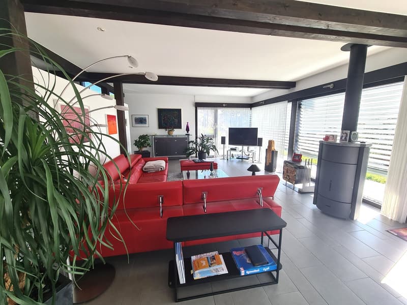 large windows, red leather couch, coffee table, TV, wooden ceiling, floor lamps, plants