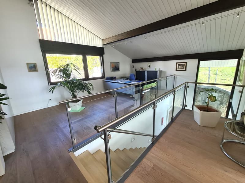 glass staircase, glass balcony railing, wooden floor, white walls, glass windows, office desk, blue chair, potted plants