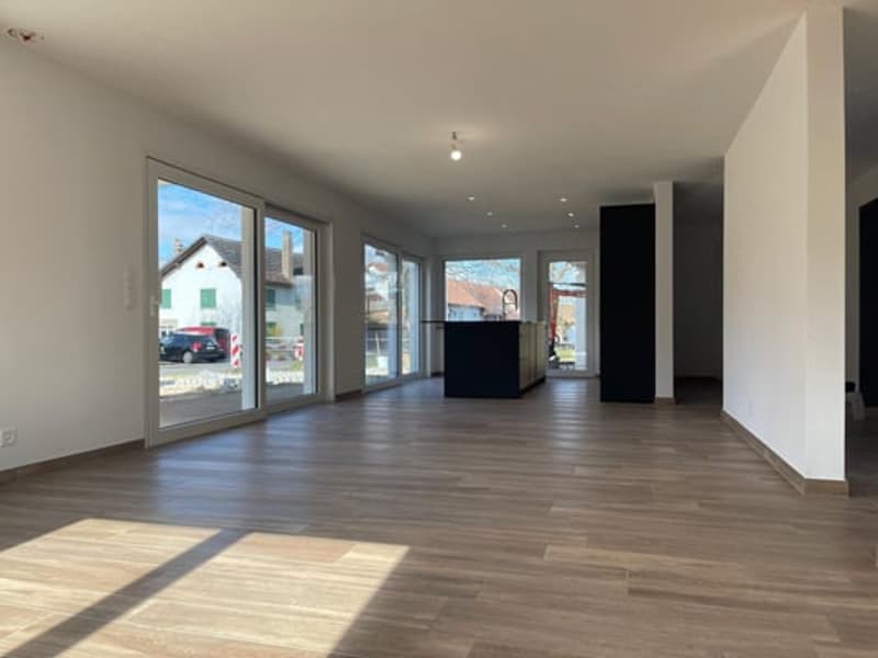 Splendide villa de 6,5 pièces (8)