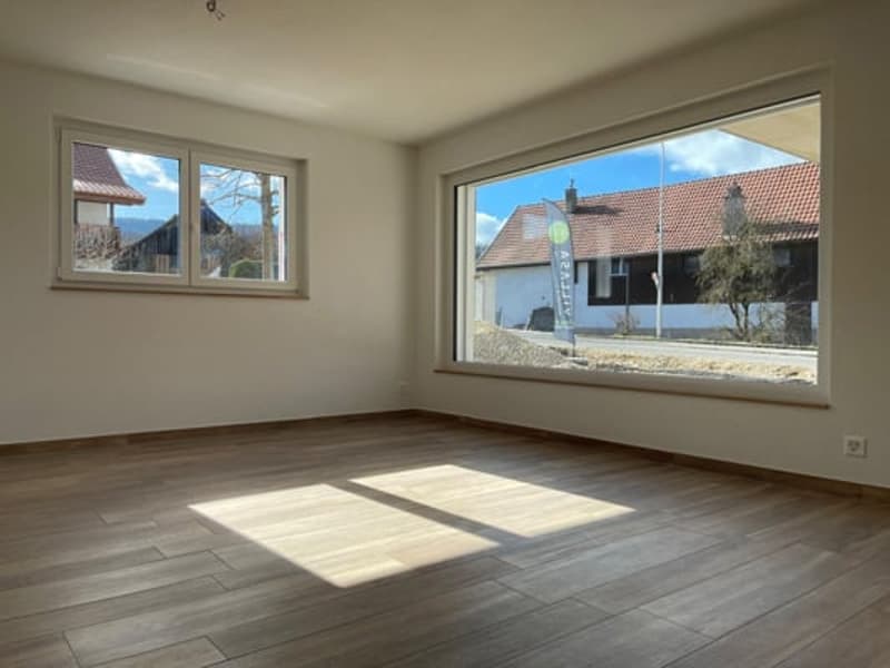 Splendide villa de 6,5 pièces (5)