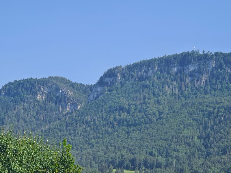 Très spacieuse et charmante villa idéalement bien située sur une grande parcelle de toute beauté (12)