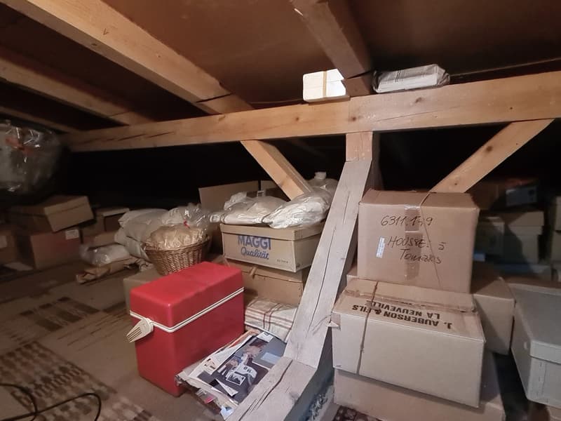 Très spacieuse et charmante villa idéalement bien située sur une grande parcelle de toute beauté (37)