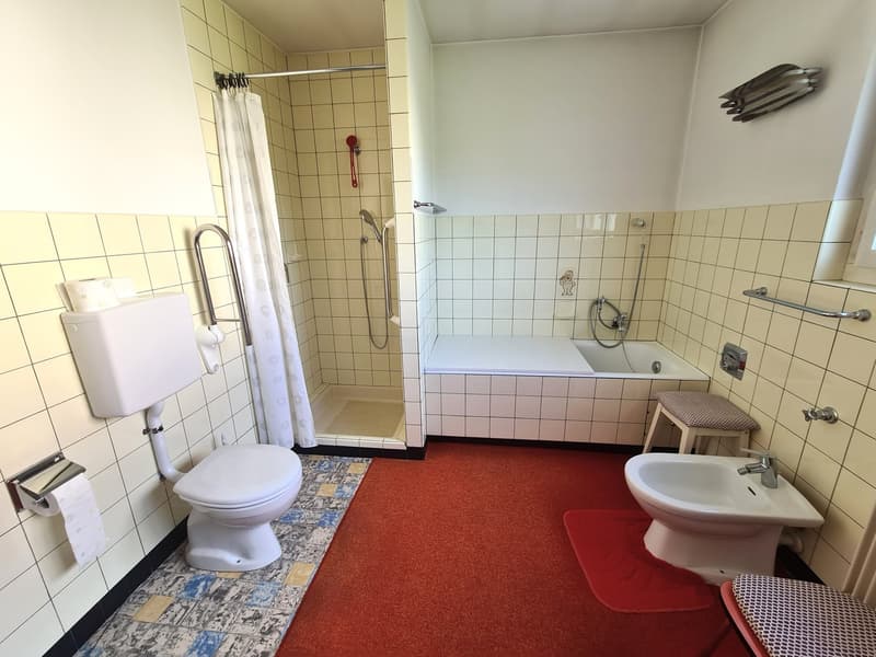Très spacieuse et charmante villa idéalement bien située sur une grande parcelle de toute beauté (21)
