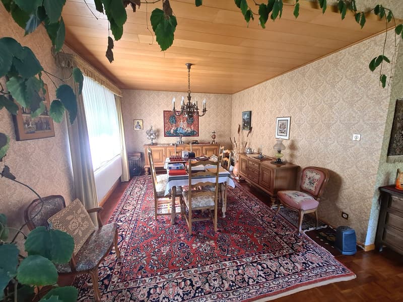 Très spacieuse et charmante villa idéalement bien située sur une grande parcelle de toute beauté (17)