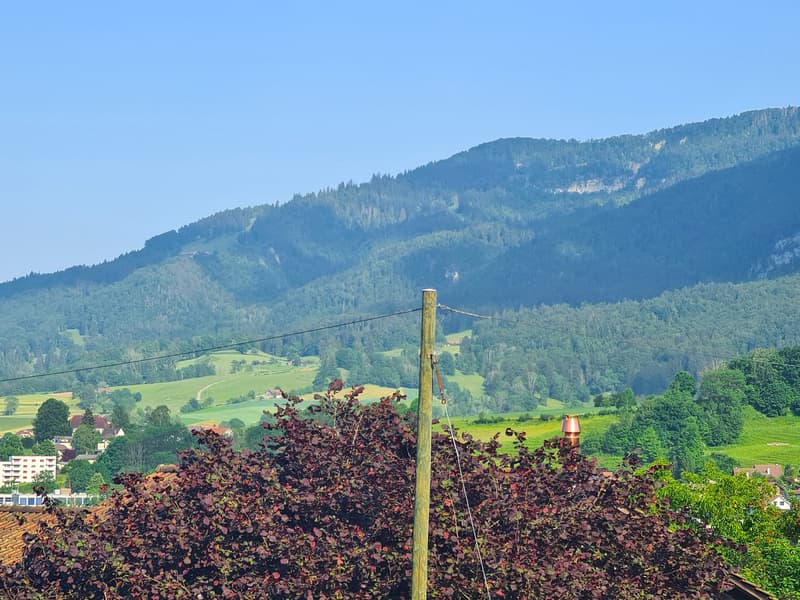 Très spacieuse et charmante villa idéalement bien située sur une grande parcelle de toute beauté (10)