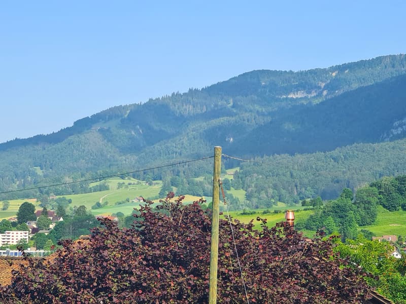 BASSECOURT - Charmante villa de 6,5 pièces à rénover idéalement bien située sur une jolie parcelle (14)