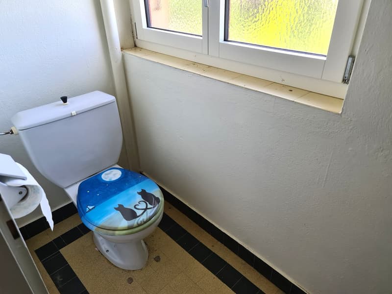 BASSECOURT - Charmante villa de 6,5 pièces à rénover idéalement bien située sur une jolie parcelle (30)