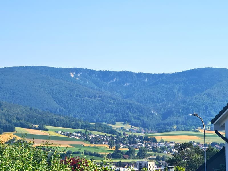 Très jolie et spacieuse villa idéalement bien située comprenant 3 appartements (33)