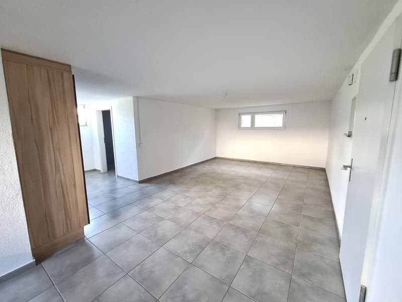 Très jolie et spacieuse villa idéalement bien située comprenant 3 appartements (25)