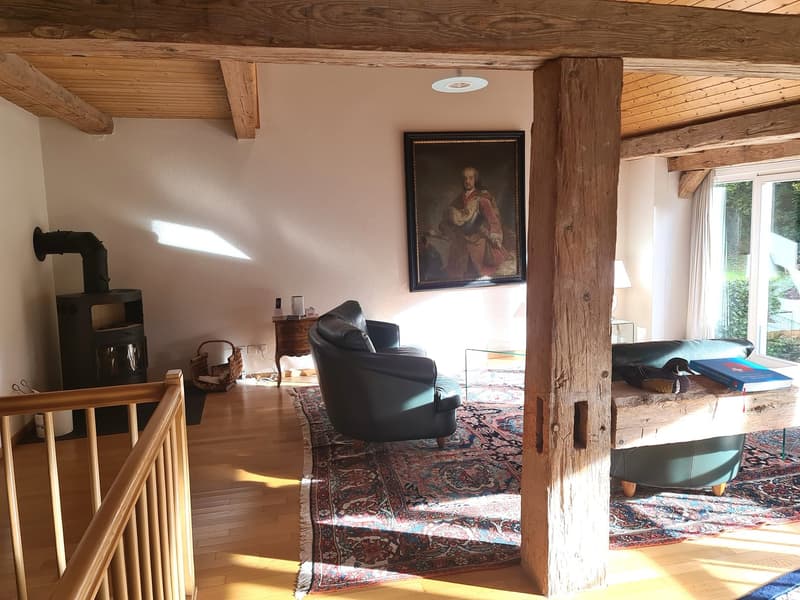 BIEN IMMOBILIER EXCEPTIONNEL - Grandiose maison villageoise de 2 appart. sur une grande parcelle (22)