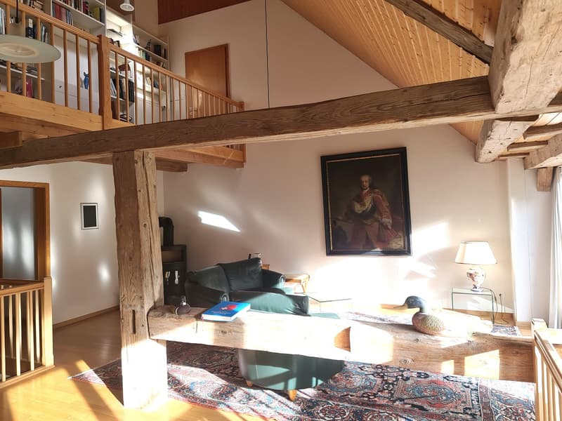 BIEN IMMOBILIER EXCEPTIONNEL - Grandiose maison villageoise de 2 appart. sur une grande parcelle (19)