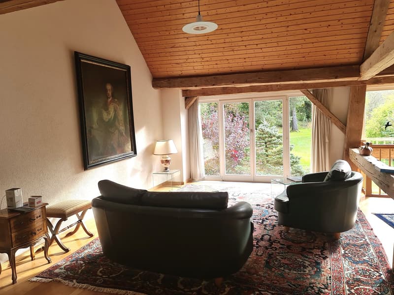 BIEN IMMOBILIER EXCEPTIONNEL - Grandiose maison villageoise de 2 appart. sur une grande parcelle (21)