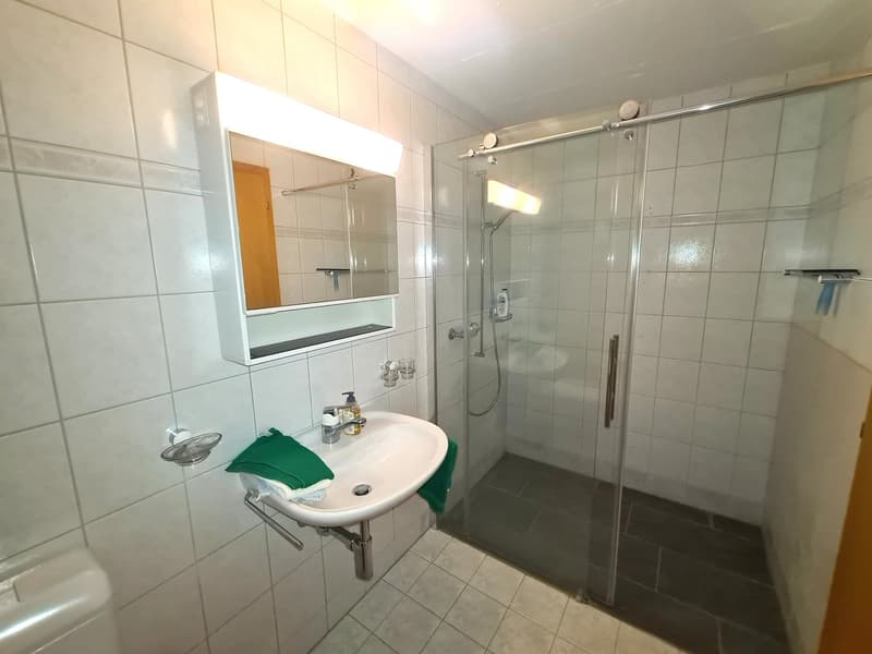 BIEN IMMOBILIER EXCEPTIONNEL - Grandiose maison villageoise de 2 appart. sur une grande parcelle (26)