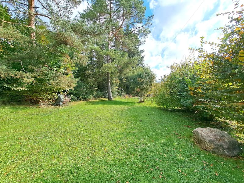 BIEN IMMOBILIER EXCEPTIONNEL - Grandiose maison villageoise de 2 appart. sur une grande parcelle (51)