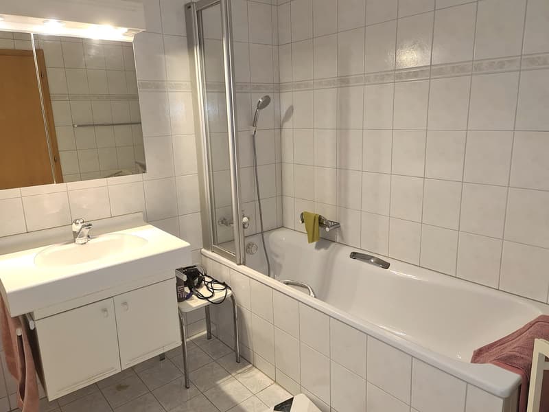 BIEN IMMOBILIER EXCEPTIONNEL - Grandiose maison villageoise de 2 appart. sur une grande parcelle (28)