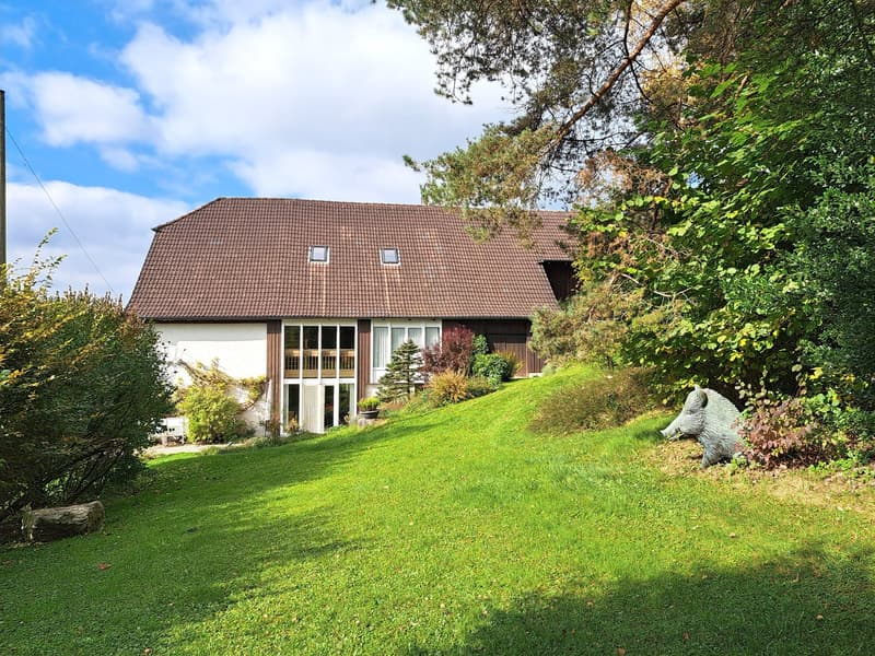 BIEN IMMOBILIER EXCEPTIONNEL - Grandiose maison villageoise de 2 appart. sur une grande parcelle (7)
